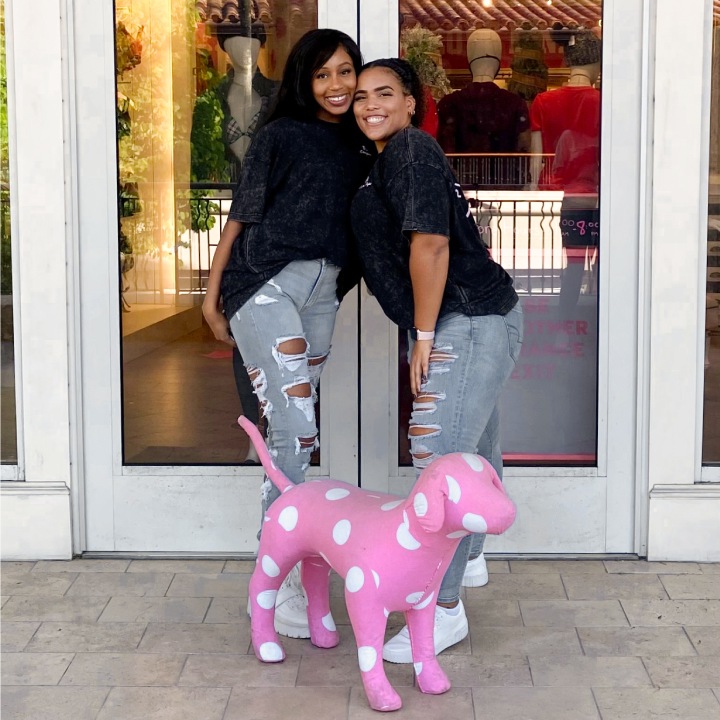 A group image of the University of Miami PINK Campus Representatives