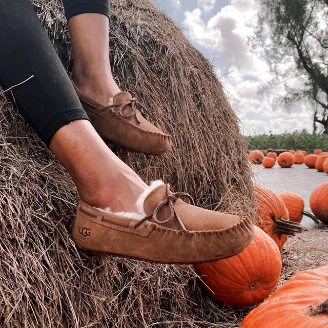 Product closeup image of PINK x UGG slippers against a fall background.
